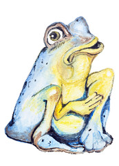 Poor blue frog