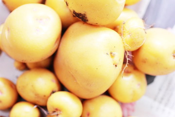 収穫したばかりのジャガイモ