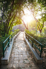 Fototapeta premium Bridge in the garden