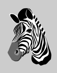zebra head © bokononist