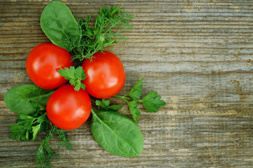 Tomato, parsley, dill and spinach