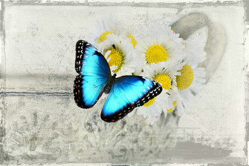 Raupe/Schmetterling