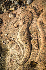 Fototapeta na wymiar Rock carvings on the beach