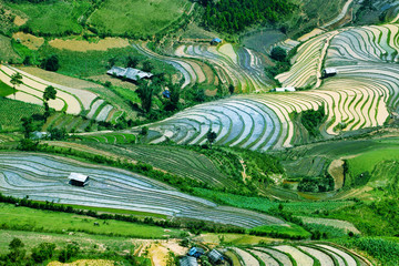 Fototapeta na wymiar Tarasy ryżowe w północnym Wietnamie