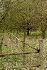 old wooden fence on the edge of forest