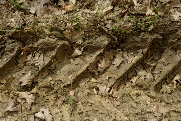 tractor tire tracks