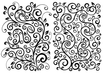 Set of two vector floral illustrations