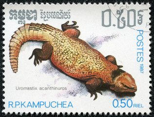 stamp shows a Yellow/orange Bell's Dabb Lizard