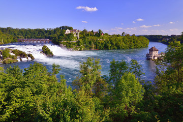 Fototapeta na wymiar Rhine Falls w Schaffhausen
