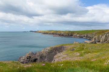 Fototapeta na wymiar Wales Coast Path Caerfai bay to St Non`s