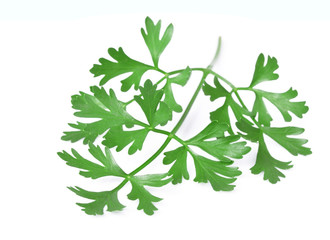 Fresh parsley