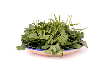 Parsley on a plate