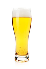 Lager beer glass