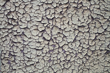 Texture of the old cracked paint
