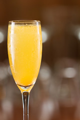 mimosa