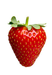 Erdbeere