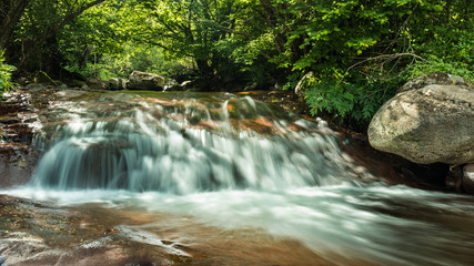 Waterfall in the forest