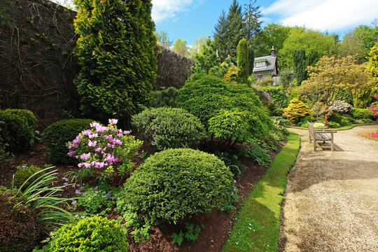 Beautiful spring garden with buxus