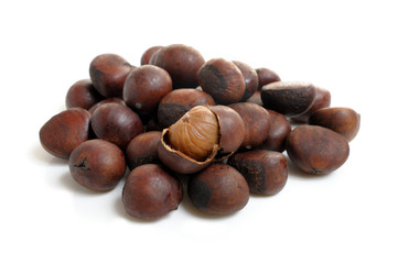 chestnuts