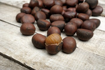chestnut