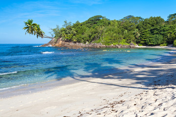 reflets de cocotiers sur plage des Seychelles