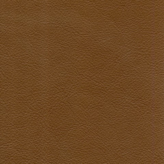 Leather texture