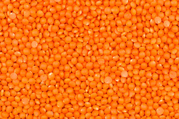  Roter Linsen Hintergrund  Nahaufnahme