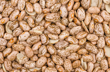 Wachtelbohnen Hintergrund  Nahaufnahme