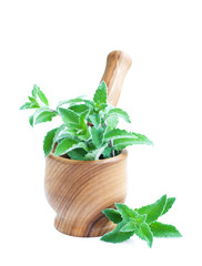 Mortar with mint