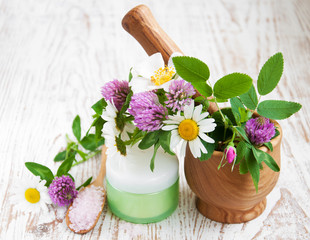 Wild flowers and herbs