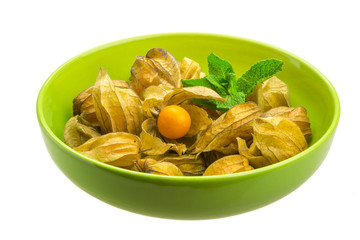 Physalis