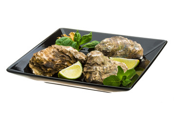 Fresh oyster