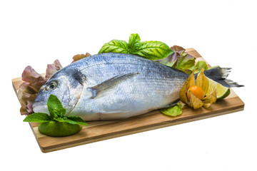 Fresh raw dorada