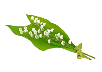 Cercles muraux Muguet Lily of the Valley Posy