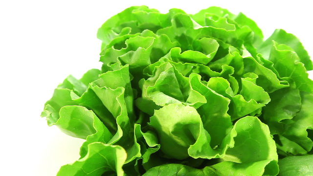 Beautiful green salad