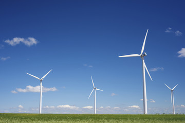 Fototapeta premium wind energy