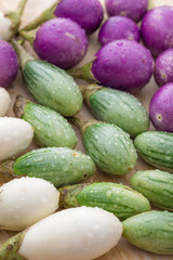 Various types of eggplant or cockroach berry