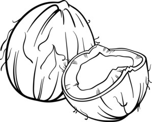 coconut illustration for coloring book