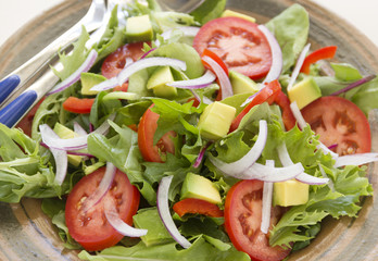 Tossed Garden Salad