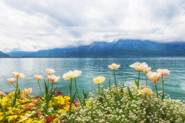 Flowers near lake, Montreux. Switzerland - 52868138