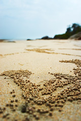 beautiful tropical beach  background