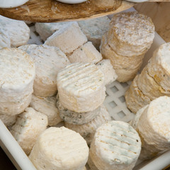 Picodons fromages d'Ardèche en vente sur un étal de marché