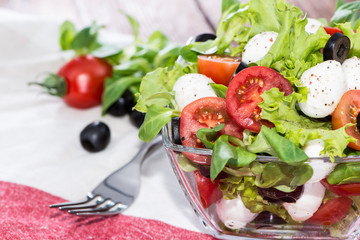 Bowl with fresh Tomato-Mozzarella Salad