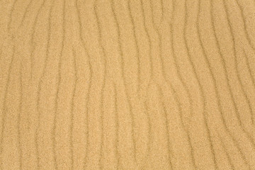 Fototapeta na wymiar tekstury piasku