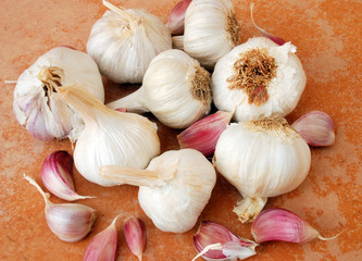 Knoblauch Knoblauchzehe