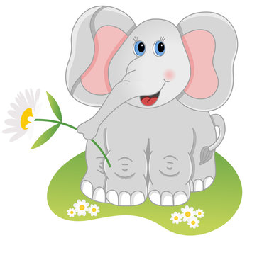 Elephant holding flower