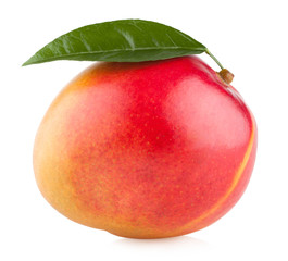 mango fruit isolated on white background