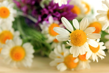 Fototapeta premium Beautiful wild flowers, close up