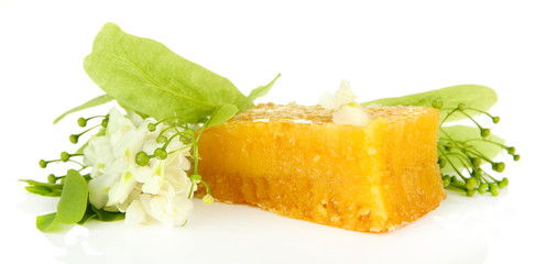 Honeycomb with flowers of acacia, lime, isolated on white