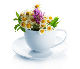 Beautiful wild flowers and mint in cup, isolated on white